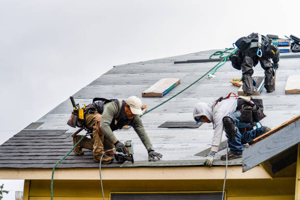 Professional Gutter Installation technician working in Napoleon, MO
